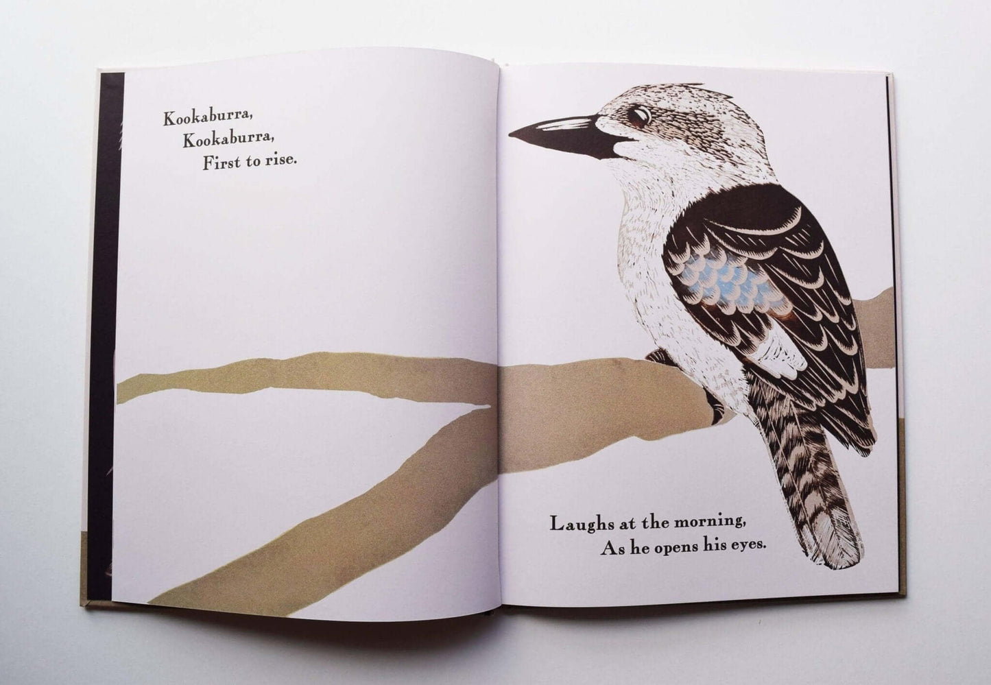 Kookaburra Kookaburra by Bridget Farmer – A Journey Through Australian Birdlife - Peninsula Records & Books - Book