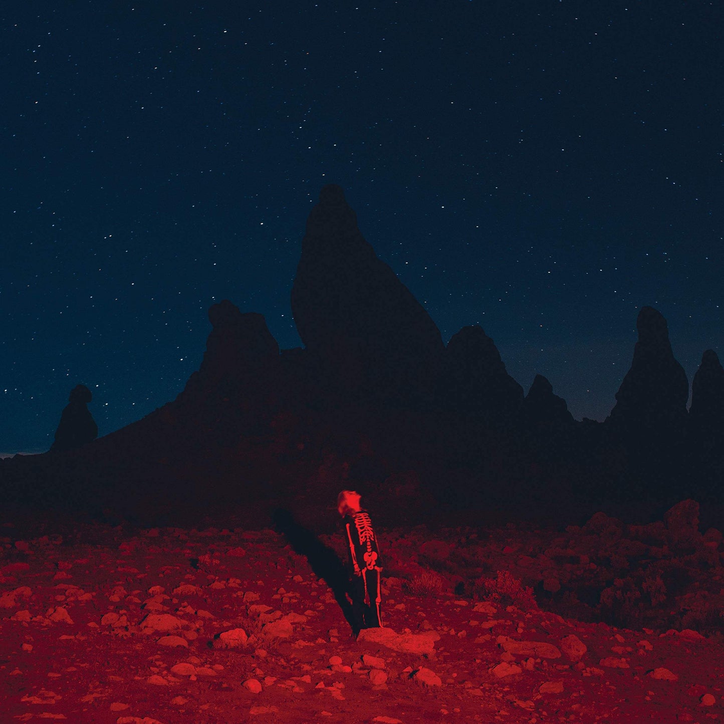 Phoebe Bridgers - Punisher black vinyl LP album cover