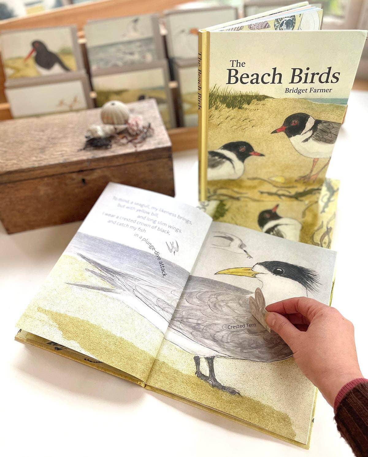 The Beach Birds - Children's Lift The Flap Book - Peninsula Records & Books - Book