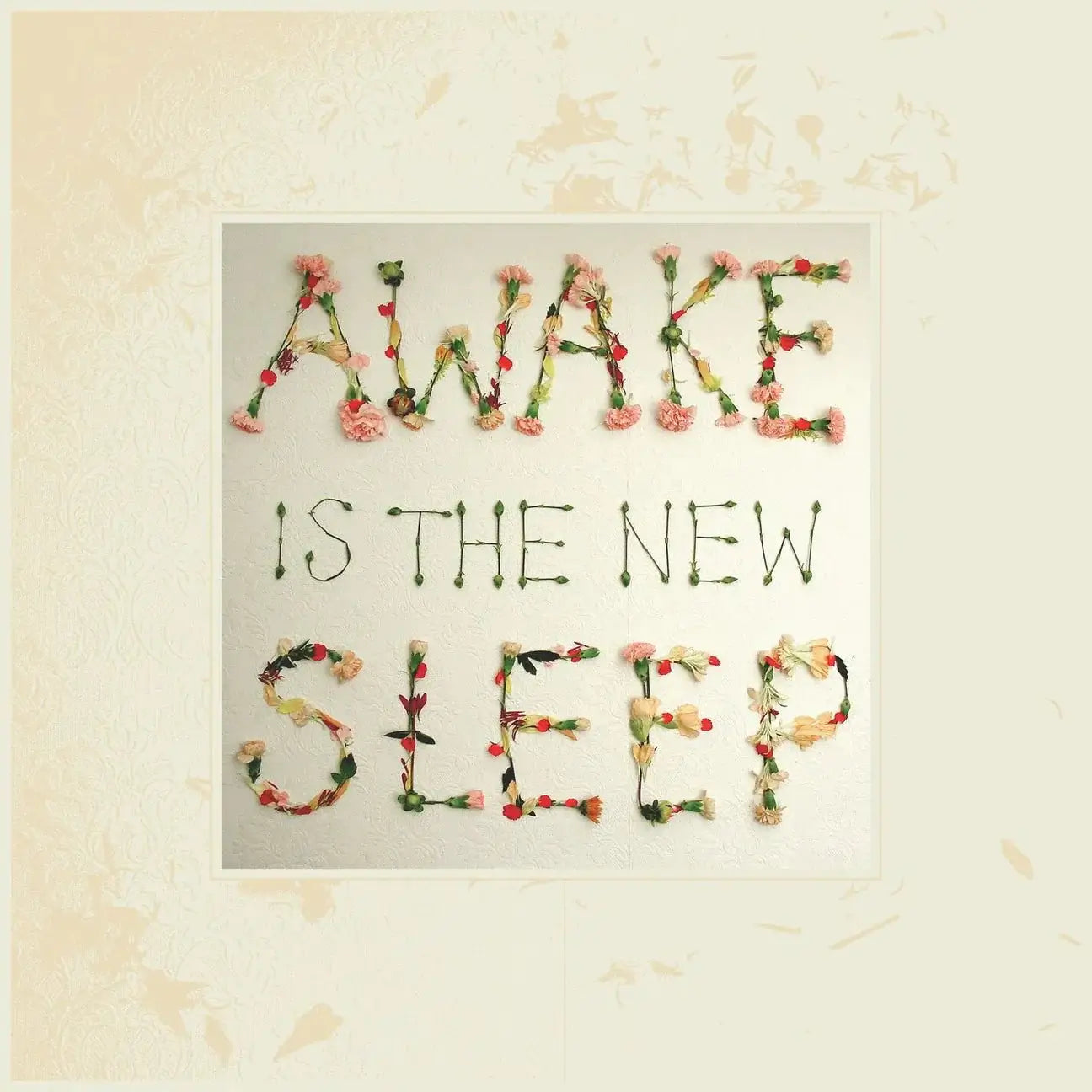 Ben Lee - Awake is the New Sleep - Vinyl LP - Peninsula Records & Books - Vinyl Record