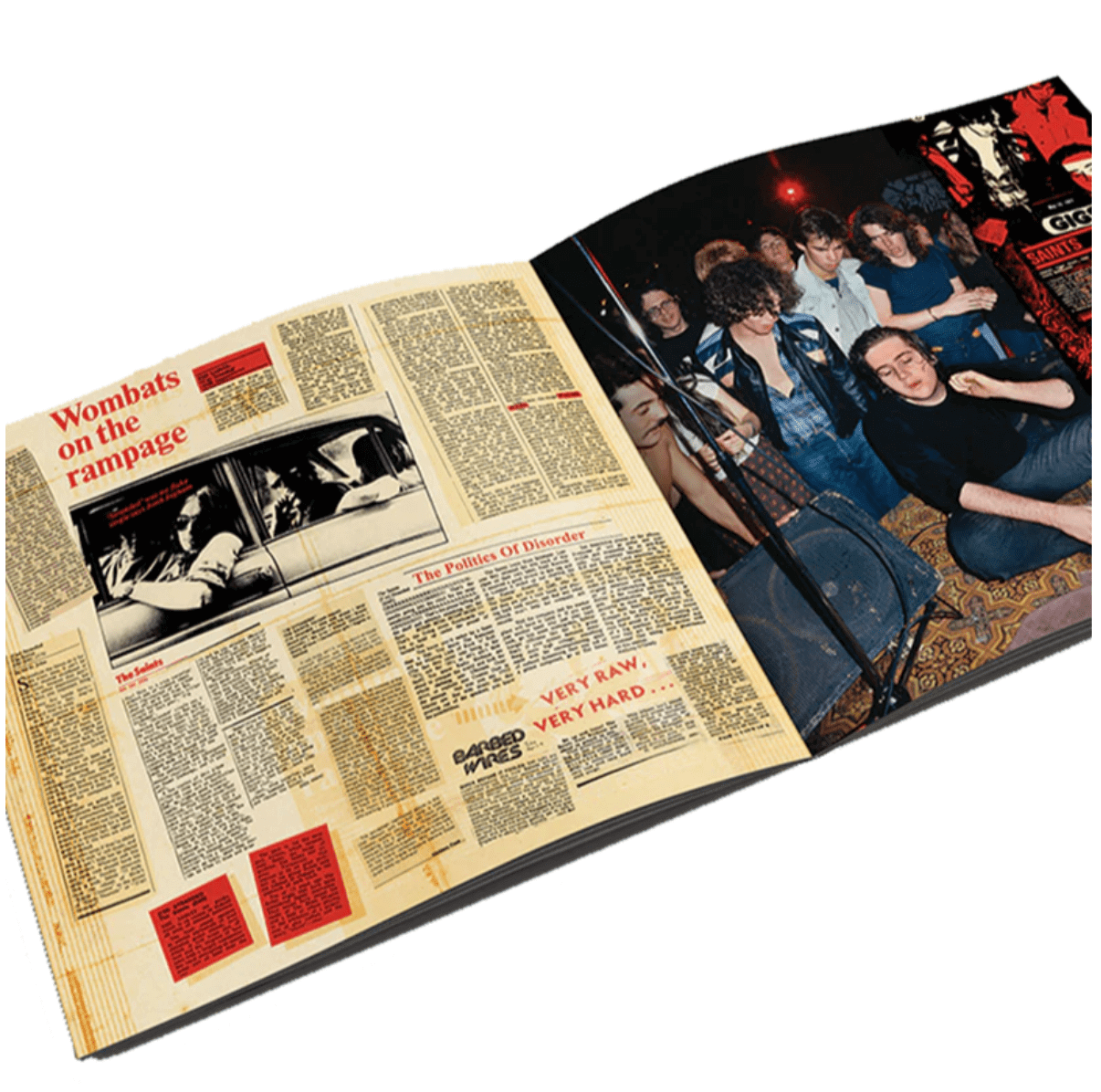 The Saints - (I'm Stranded) - Limited Edition Vinyl 4LP Box Set - Peninsula Records & Books - Vinyl Record