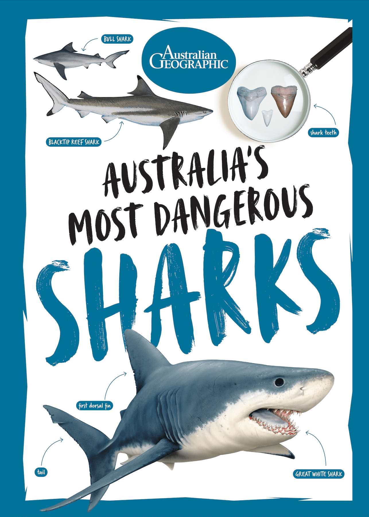 Australia's Amazing Sharks - Australian Geographic