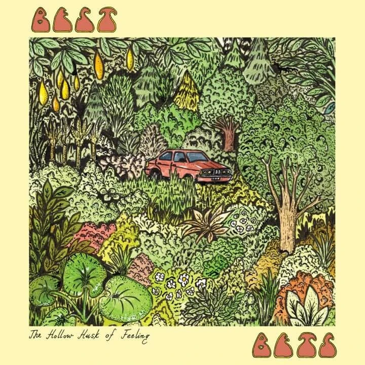 Best Bets - The Hollow Husk of Feeling - Vinyl Lp - Peninsula Records & Books - Vinyl Record