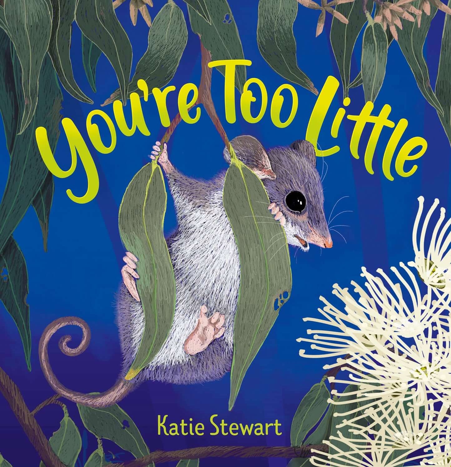 Cover of the children’s picture book You’re Too Little by Katie Stewart, showing a small grey possum with a curled tail climbing between green eucalyptus leaves on a dark blue background with cream gum blossoms.