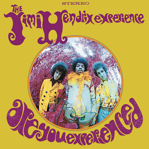 Jimi Hendrix - Are You Experienced vinyl LP record sleeve