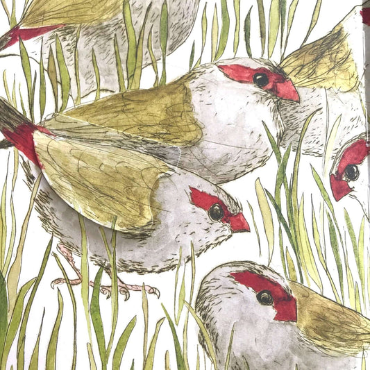 The Bush Birds - Children's Lift The Flap Book - Peninsula Records & Books - Book