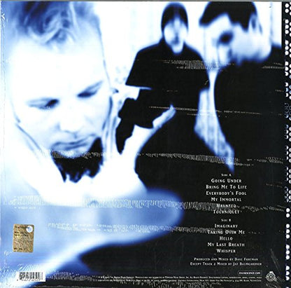 Evanescence - Fallen vinyl LP back cover