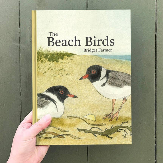 The Beach Birds - Children's Lift The Flap Book - Peninsula Records & Books - Book