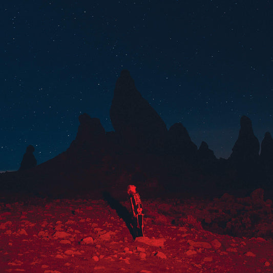 Phoebe Bridgers - Punisher black vinyl LP album cover