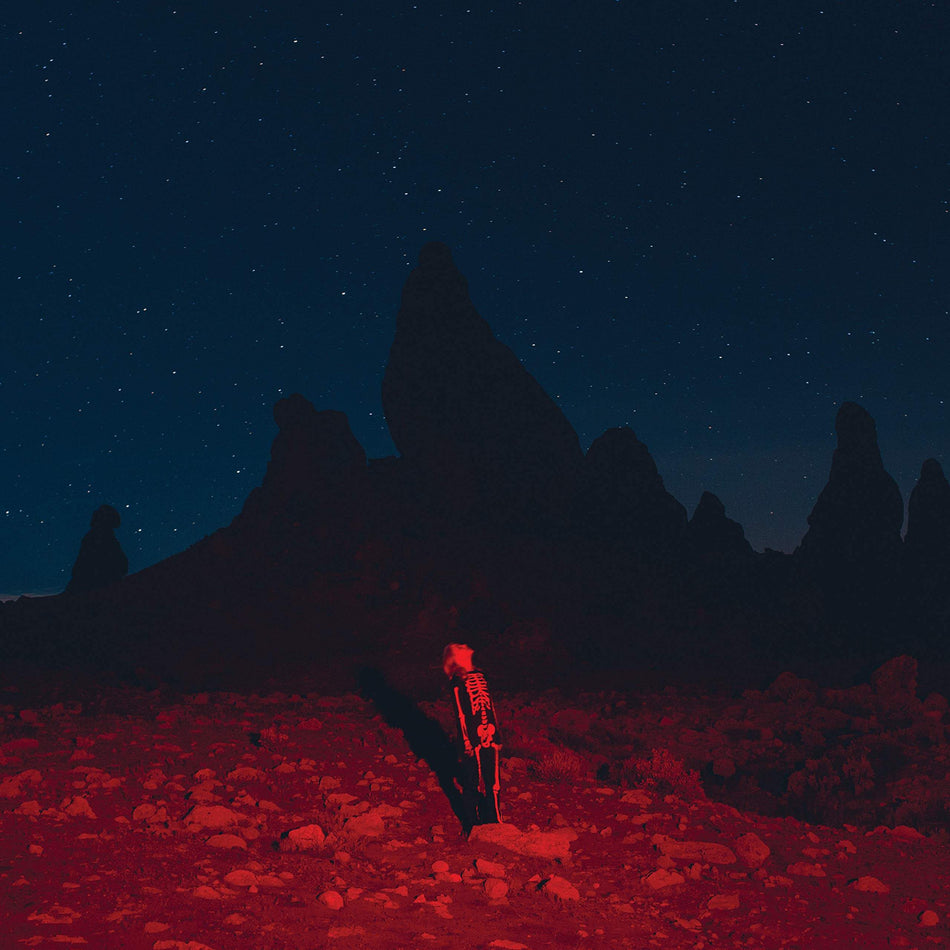 Phoebe Bridgers - Punisher black vinyl LP album cover