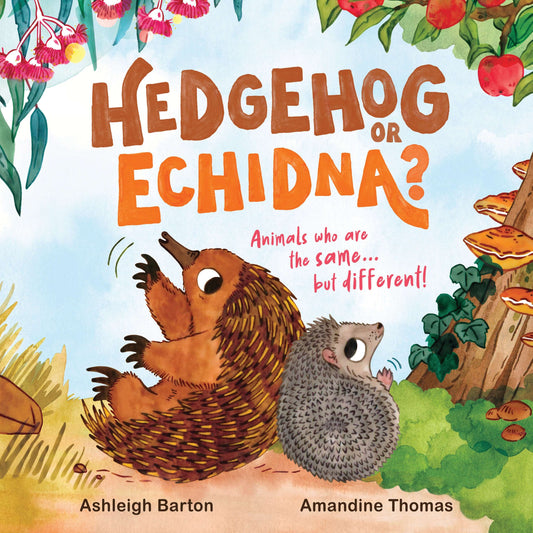 Hedgehog or Echidna - Ashleigh Barton
