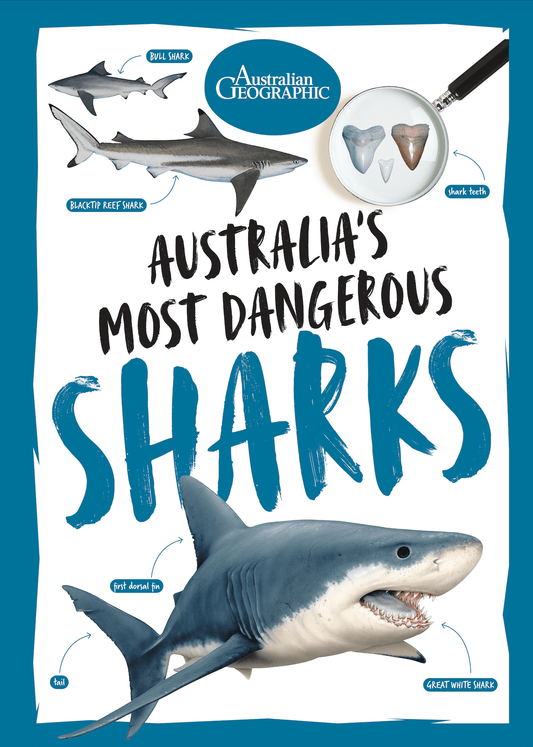Australia's Amazing Sharks - Australian Geographic
