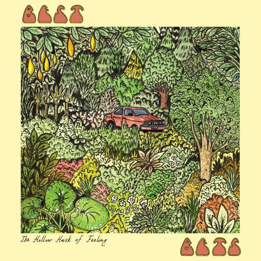 Best Bets - The Hollow Husk of Feeling - Vinyl Lp - Peninsula Records & Books - Vinyl Record