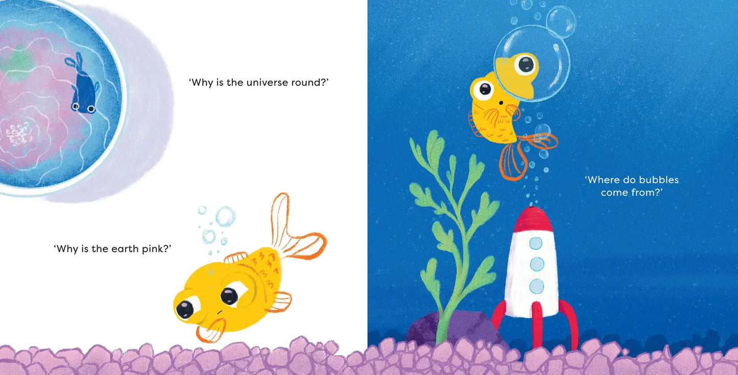 Derek - Donaldson/Shanks