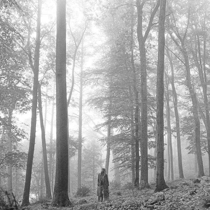Taylor Swift - Folklore In the Trees brown 2LP vinyl album cover