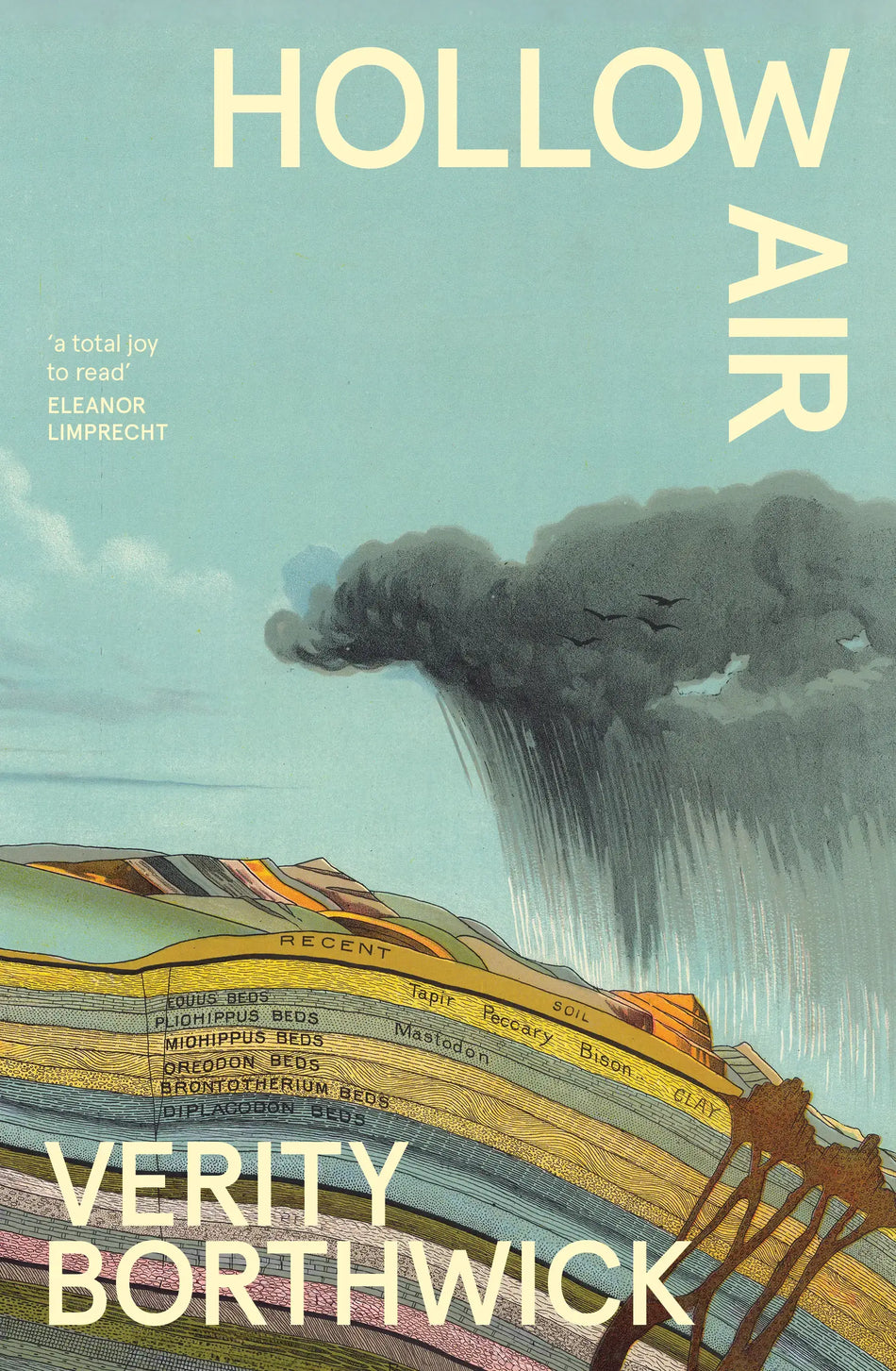Book cover of 'Hollow Air' by Verity Borthwick with a stylized illustration of a cloud and train.