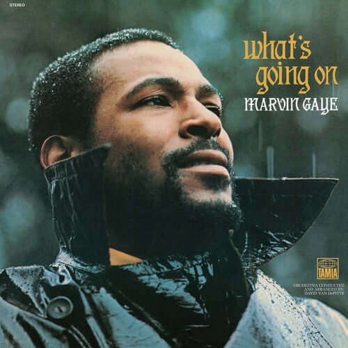 Marvin Gaye - What’s Going On (180g Vinyl Reissue LP)