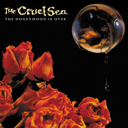 The Cruel Sea - The Honeymoon is Over - 30th Anniversary Vinyl Lp - Peninsula Records & Books - Vinyl Record