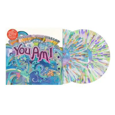 Colorful 'You Ami' vinyl record with a circular design on a white background